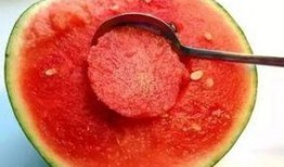 娱乐吃瓜酱花期,揭秘明星幕后故事