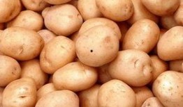 傻柱土豆在线观看,在线观看，笑料横生的田园生活大揭秘